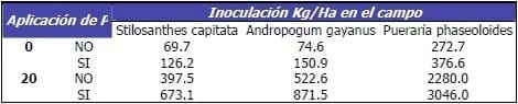 El papel de la micorriza en la nutrición animal - Image 8