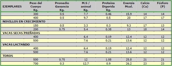 El papel de la micorriza en la nutrición animal - Image 2