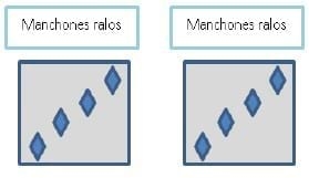 Manejo Integrado de Malezas en Sistemas Productivos - Image 3