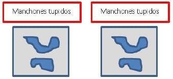 Manejo Integrado de Malezas en Sistemas Productivos - Image 4