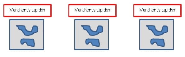 Manejo Integrado de Malezas en Sistemas Productivos - Image 5
