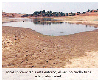 Problemas de salud y producción del vacuno criollo frente al cambio climático - Image 12