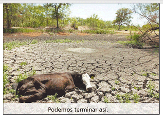 Problemas de salud y producción del vacuno criollo frente al cambio climático - Image 3