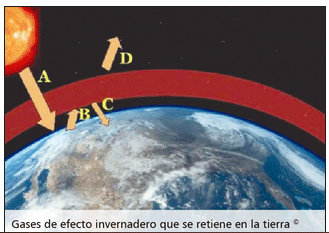 Problemas de salud y producción del vacuno criollo frente al cambio climático - Image 4