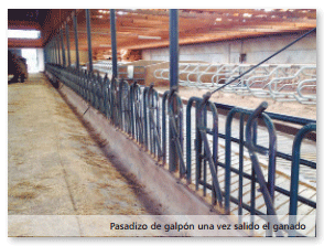 Tambo Queque Norte:donde la altitud y la ganadería tecnificada conviven - Image 4