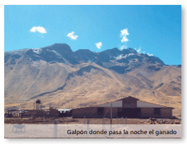 Tambo Queque Norte:donde la altitud y la ganadería tecnificada conviven - Image 1
