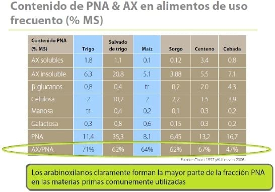 7 razones que apoyan el uso de enzimas xilanasas purificadas en dietas con base en maíz - Image 1