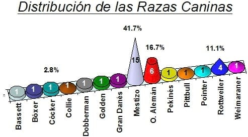 PRIMER REPORTE EN LATINOAMÉRICA DE BARTONELLA HENSELAE GENOMA TIPO I (HOUSTON) COMO CAUSA DE ENDOCARDITIS BACTERIANA CANINA ZOONÓTICA MEDIANTE PCR TISULAR - Image 10