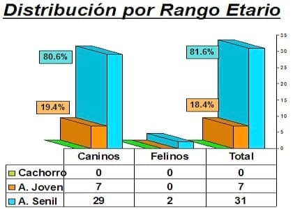 PRIMER REPORTE EN LATINOAMÉRICA DE BARTONELLA HENSELAE GENOMA TIPO I (HOUSTON) COMO CAUSA DE ENDOCARDITIS BACTERIANA CANINA ZOONÓTICA MEDIANTE PCR TISULAR - Image 9