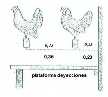 Introducción a instalaciones para aves - Image 3