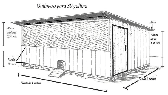 Introducción a instalaciones para aves - Image 1