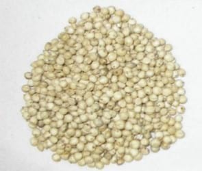 El lugar actual y futuro del Sorgo Granífero en la producción de la gran zona agrícola de Argentina - Image 5