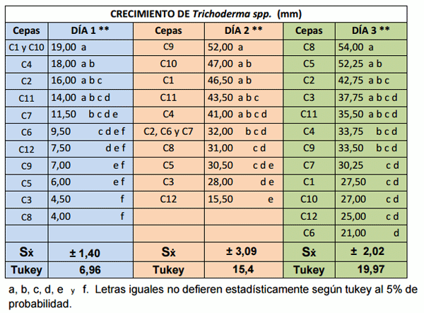 Cultivo in vitro de trichoderma spp., y su antagonismo frente a moniliopthora roreri - Image 2
