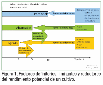 Aportes de la ecofisiología en el manejo, nutrición y mejoramiento de cultivos - Image 2