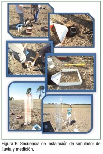 Pérdida de nutrientes desde agrosistemas y su destino en el ambiente - Image 13