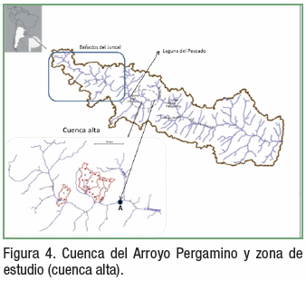 Pérdida de nutrientes desde agrosistemas y su destino en el ambiente - Image 5