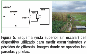 Pérdida de nutrientes desde agrosistemas y su destino en el ambiente - Image 6