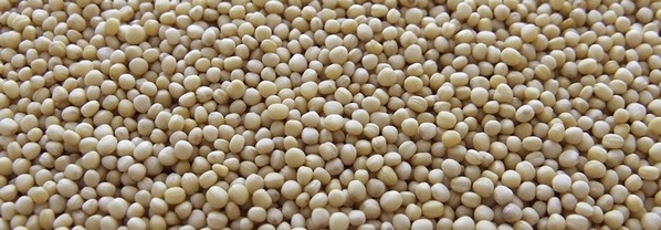 Parámetros importantes para el prensado de soya - Primera parte - Image 1