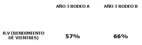 Modelización comparativa entre dos rodeos comerciales de cría: Manejo convencional VS Manejo con prótesis dentales - Image 6