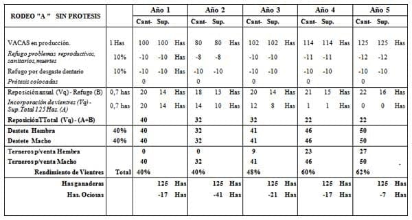 Modelización comparativa entre dos rodeos comerciales de cría: Manejo convencional VS Manejo con prótesis dentales - Image 9