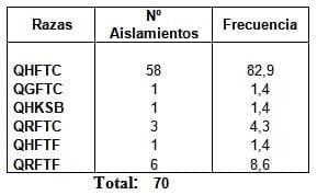 Roya del tallo del Trigo en la región pampeana argentina. Análisis de la campaña 2014 - Image 2