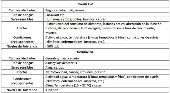 ¿Qué son las micotoxinas? Micotoxicosis: Consideraciones Generales - Image 4