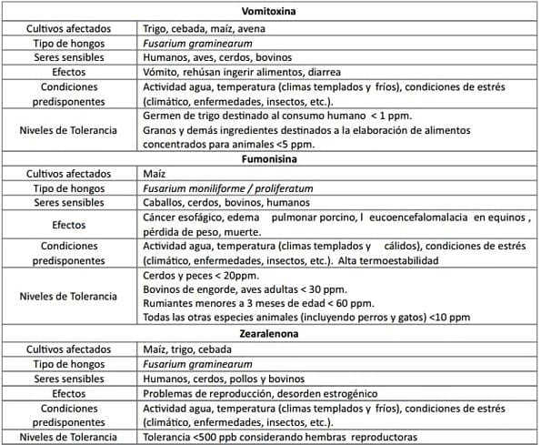 ¿Qué son las micotoxinas? Micotoxicosis: Consideraciones Generales - Image 3