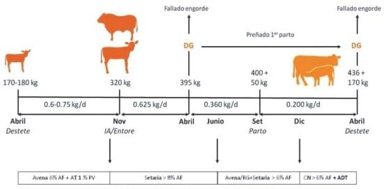 Entore precoz: una alternativa para aumentar la competitividad de la cría - Image 1