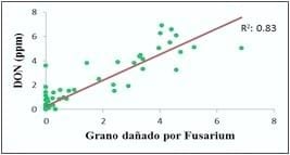 Predicción de deoxinivalenol en grano de trigo - Image 3