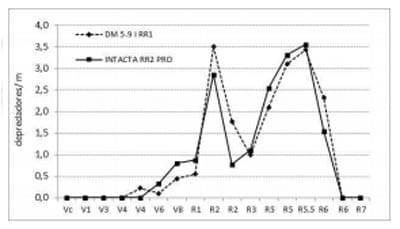 Cultivo de soja Bt (RR2 PRO) y convencional (RR1) expuestos a poblaciones naturales de organismos plaga y depredadores - Image 7