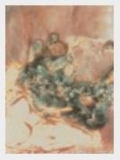 Parasitosis: Pérdidas Productivas e Impacto Económico - Image 6