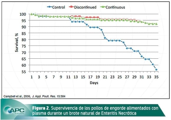 Programas de alimentación para pollos de engorde en sistemas ABF (libre de antibióticos) en pre-inicio 2. - Image 3
