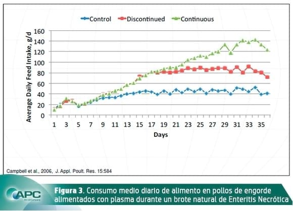 Programas de alimentación para pollos de engorde en sistemas ABF (libre de antibióticos) en pre-inicio 2. - Image 4