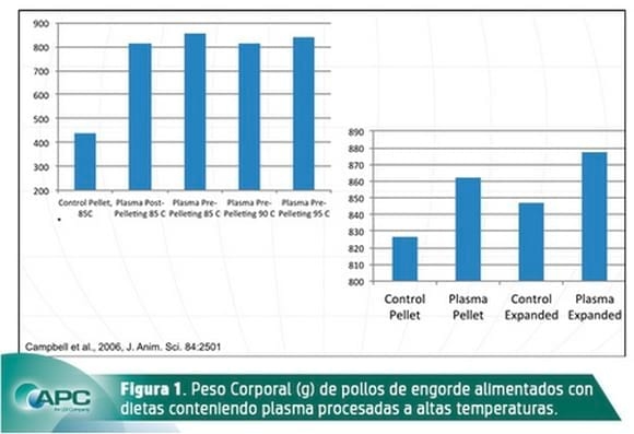 Programas de alimentación para pollos de engorde en sistemas ABF (libre de antibióticos) en pre-inicio 2. - Image 2
