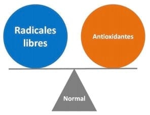 Estrés oxidativo: Efecto en la función inmune y la salud láctea - Image 3