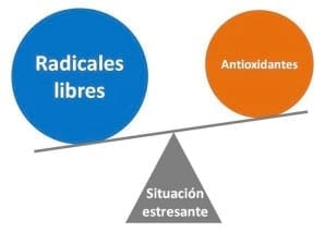 Estrés oxidativo: Efecto en la función inmune y la salud láctea - Image 2