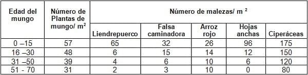 Alternativas de manejo de poblaciones de arroz rojo en el Programa AMTEC - Image 10