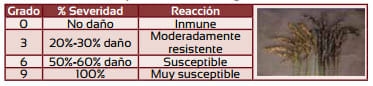 Estudios sobre resistencia genética del cultivo de arroz al añublo bacterial de la panícula Burkholderia glumae en Colombia - Image 6