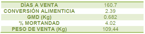 Módulo de producción porcina a escala comercial de la Facultad de Ciencias Agrarias - Universidad Nacional de Rosario - Image 8