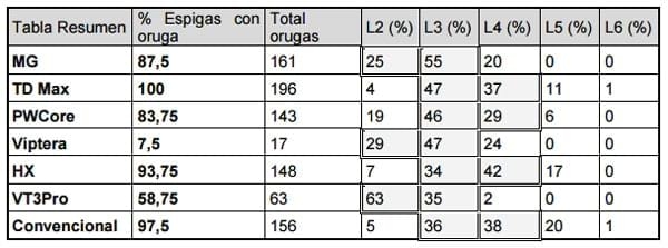 Evaluación del daño causado por el “Cogollero de maíz” (Spodoptera frugiperda) y presencia de la “Isoca de la espiga” (Helicoverpa zea) en diferentes híbridos de maíz transgénico - Image 7