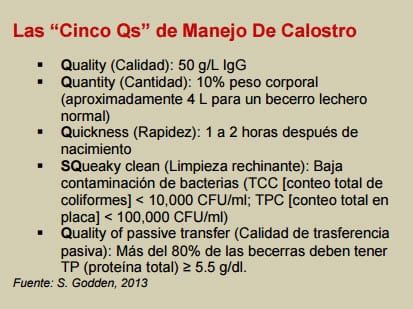 Las críticas primeras dos semanas: Alimentado para apoyar el sistema inmunológico de las becerras - Image 1