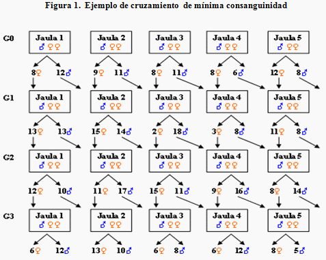 La ingestión de albúmina e inmunoglogulinas porcinas en la dieta humana (Estudio en ratones cd1) - Image 9