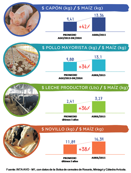 Agregado de valor en las cadenas de la carne y leche bovina - Image 2