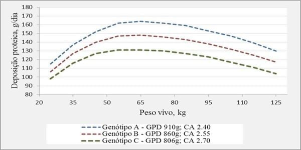 La Nutrición y Alimentación en Crecimiento y Terminación, para Maximizar la Productividad y Rentabilidad del Cerdo Moderno - Image 2