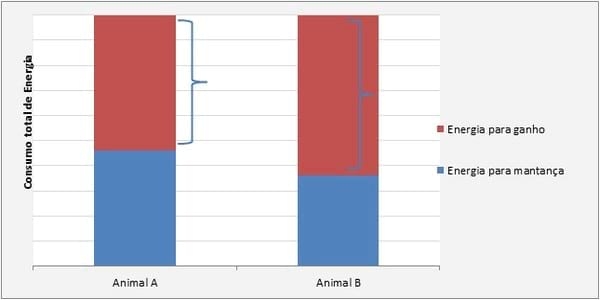 La Nutrición y Alimentación en Crecimiento y Terminación, para Maximizar la Productividad y Rentabilidad del Cerdo Moderno - Image 4