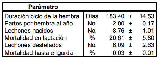 ¿la productividad un factor de importancia en embutidos gourmet? Características relevantes de los sistemas de producción del cerdo ibérico - Image 3