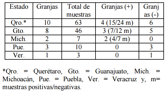 Presencia del rubulavirus porcino (RVP) en cerdos, de granjas comerciales, con problemas respiratorios y retraso de crecimiento - Image 1