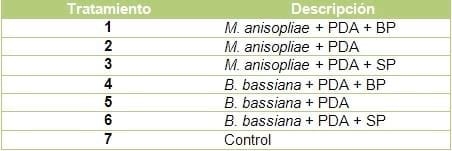 Evaluación de la eficacia de metarhizium anisopliae y de beauveria bassiana sobre el control de picudos asociados al cultivo de vid, utilizando activadores de patogenicidad - Image 1