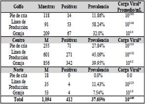 Epidemiología Molecular de la Diarrea Epidémica Porcina (PED) en México - Image 2