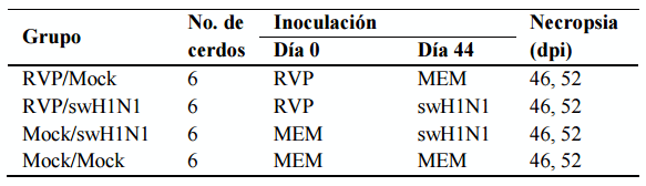 Coinfección experimental del rubulavirus porcino y virus de la influenza porcina (H1N1) en cerdos en crecimiento - Image 1